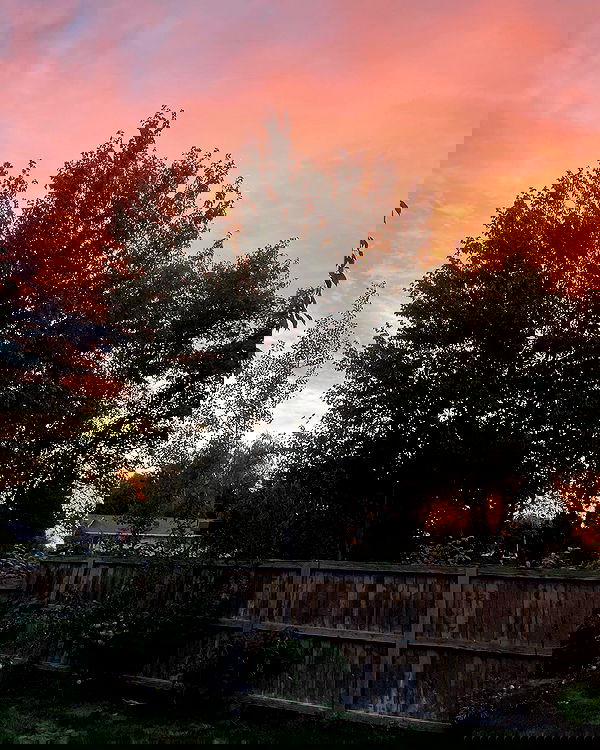 _animechika_ _animechika_ archive image