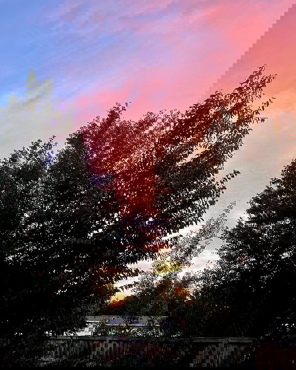 _animechika_ _animechika_ archive image