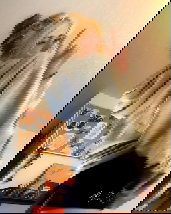 _animechika_ _animechika_ archive image