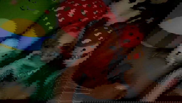 _animechika_ _animechika_ archive image