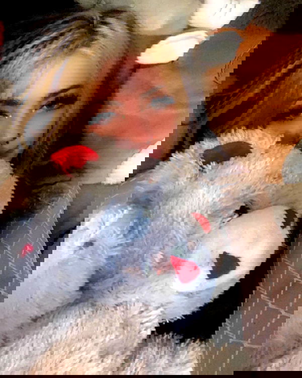 _animechika_ _animechika_ archive image