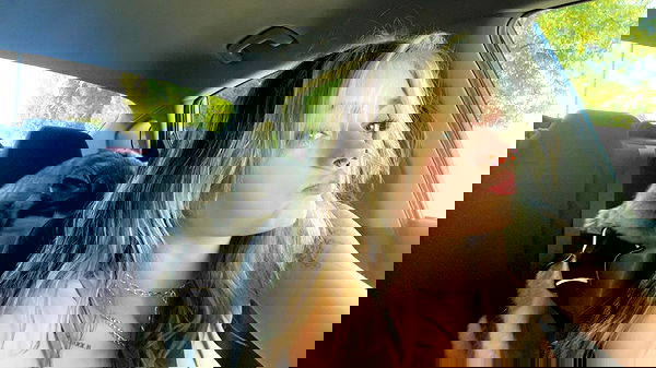 _animechika_ _animechika_ archive image