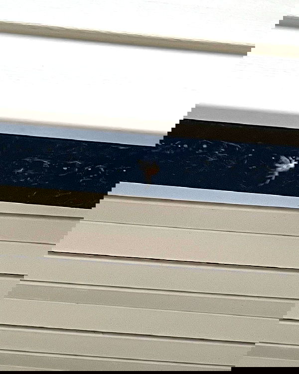 _animechika_ _animechika_ archive image