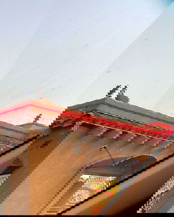 _animechika_ _animechika_ archive image