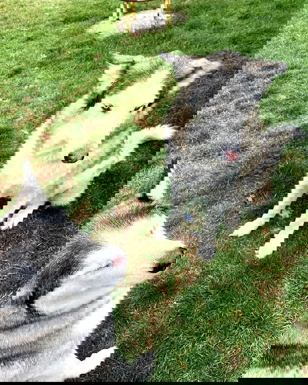 _animechika_ _animechika_ archive image