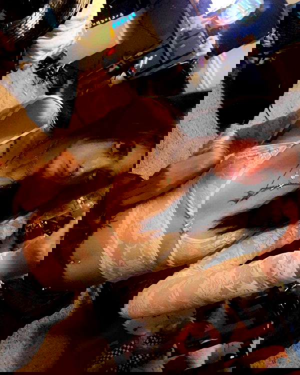 _animechika_ _animechika_ archive image