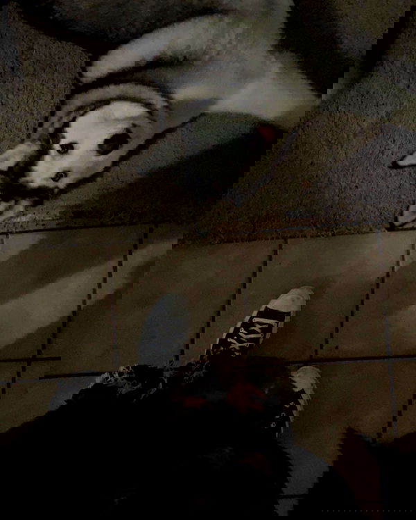 _animechika_ _animechika_ archive image