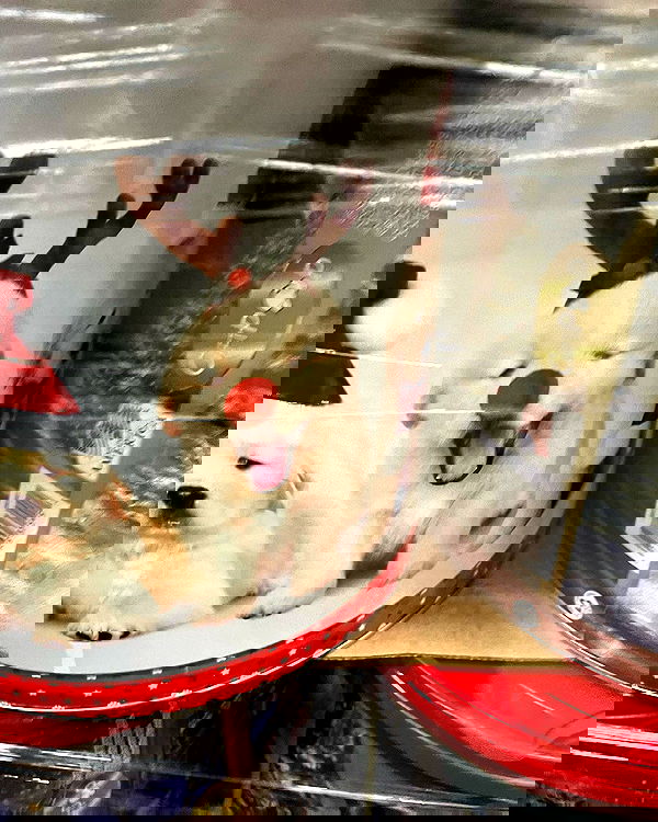 _animechika_ _animechika_ archive image