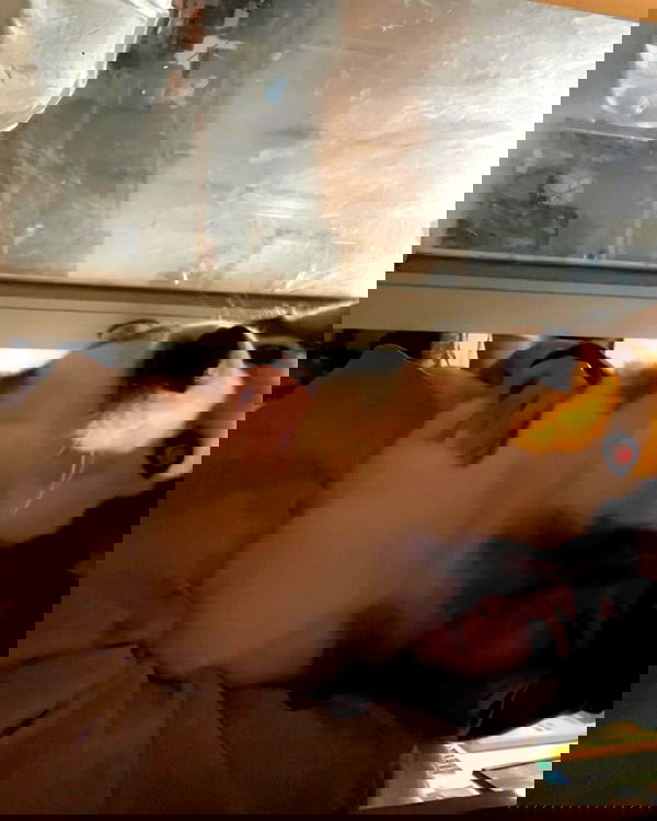 _animechika_ _animechika_ archive image