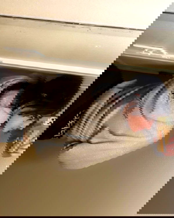 _animechika_ _animechika_ archive image