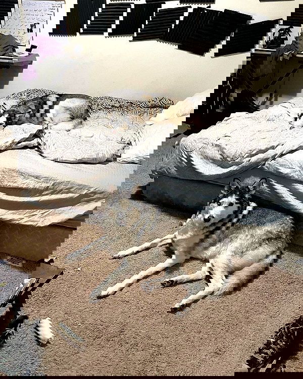 _animechika_ _animechika_ archive image