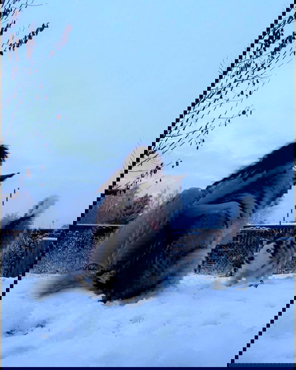 _animechika_ _animechika_ archive image