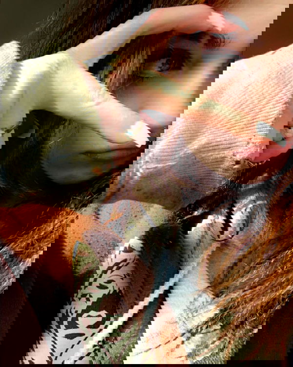 _animechika_ _animechika_ archive image