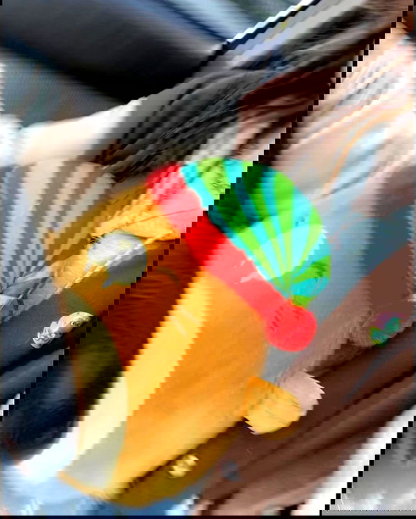 _animechika_ _animechika_ archive image