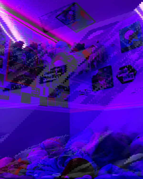 _animechika_ _animechika_ archive image