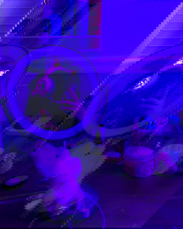 _animechika_ _animechika_ archive image