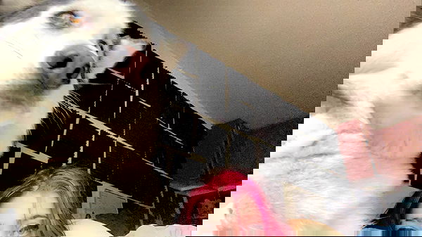 _animechika_ _animechika_ archive image