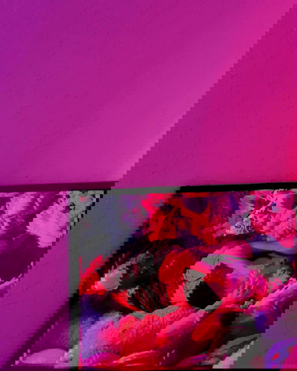 _animechika_ _animechika_ archive image