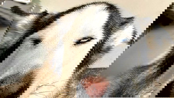 _animechika_ _animechika_ archive image