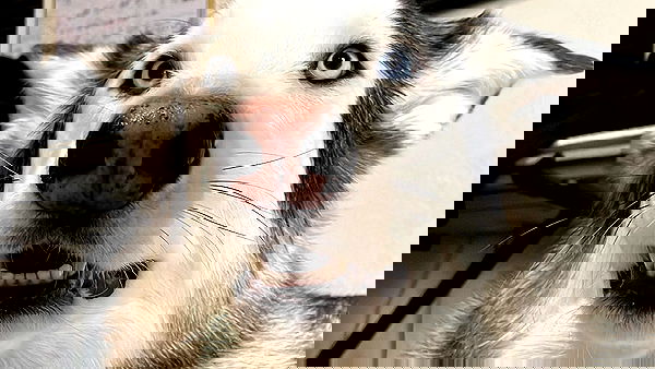 _animechika_ _animechika_ archive image