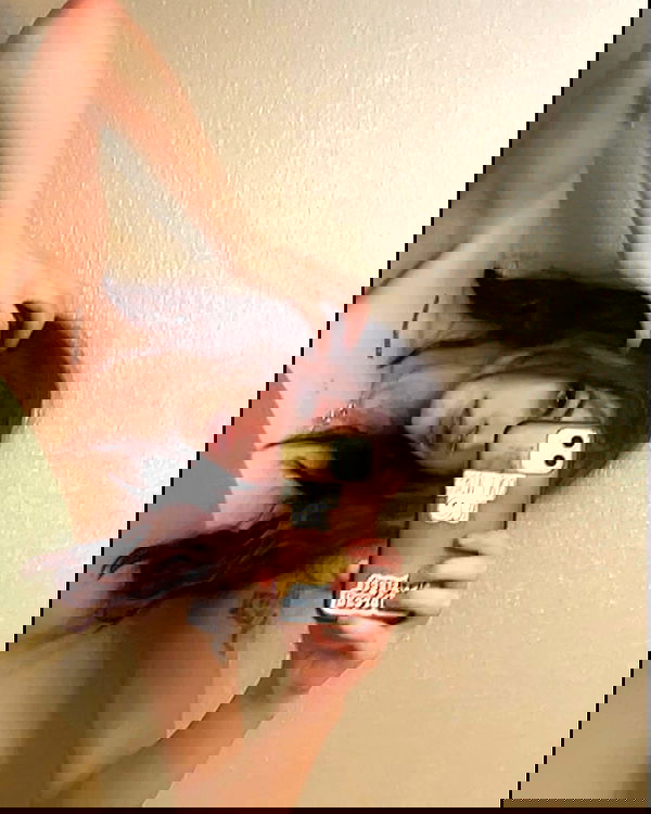 _animechika_ _animechika_ archive image