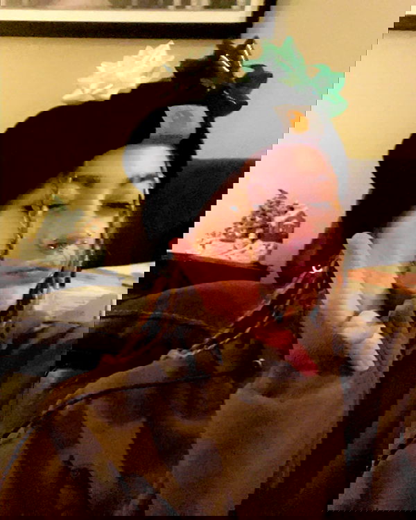 _animechika_ _animechika_ archive image