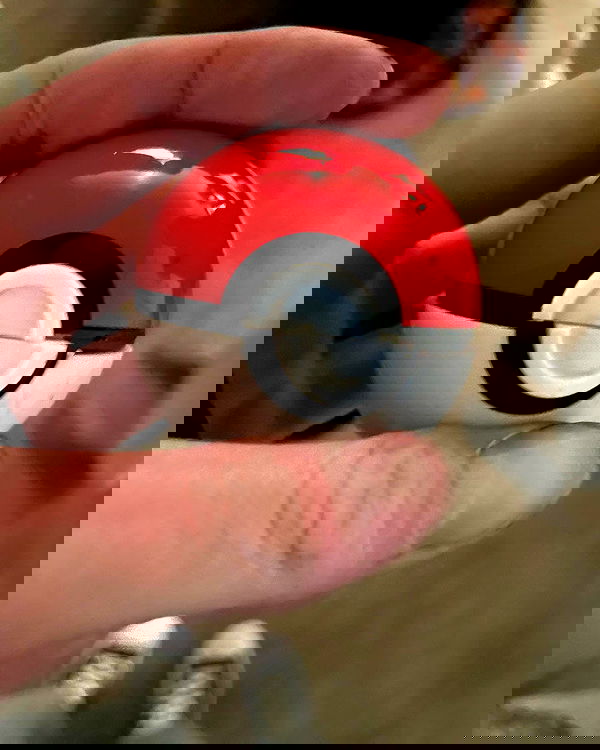 _animechika_ _animechika_ archive image