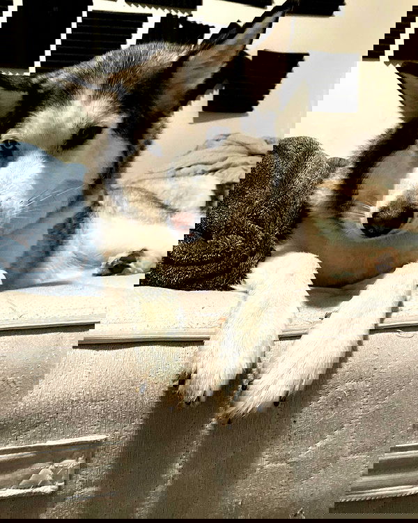 _animechika_ _animechika_ archive image