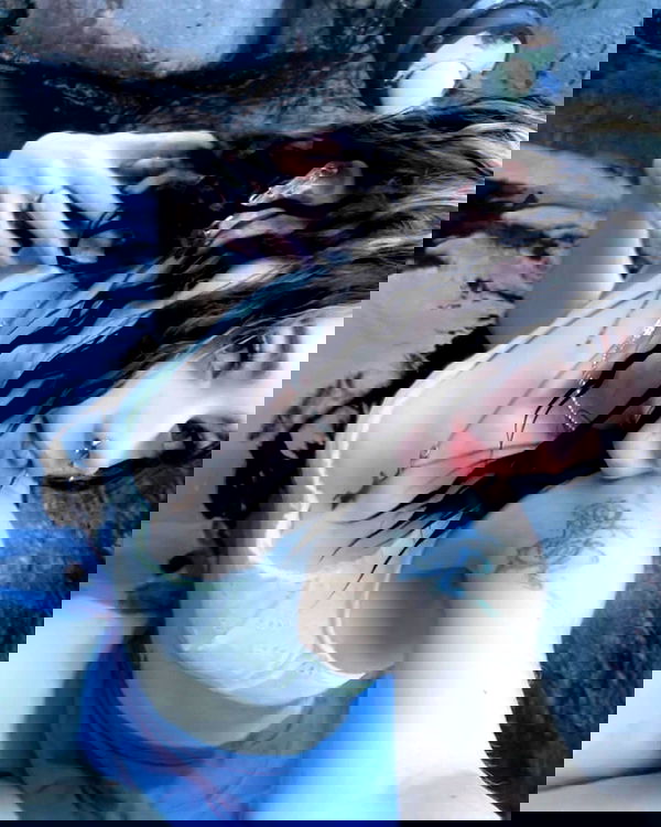 _animechika_ _animechika_ archive image