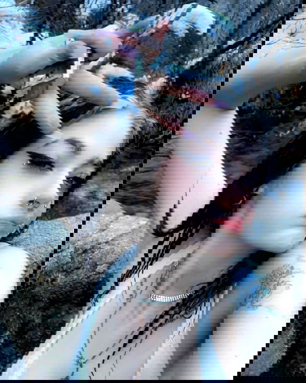 _animechika_ _animechika_ archive image