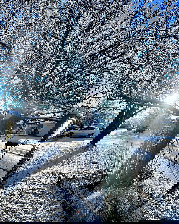 _animechika_ _animechika_ archive image