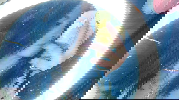 _animechika_ _animechika_ archive image