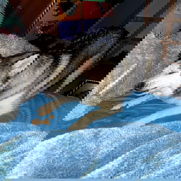 _animechika_ _animechika_ archive image