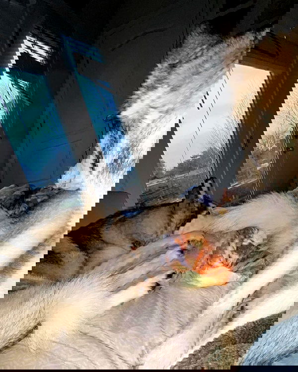 _animechika_ _animechika_ archive image