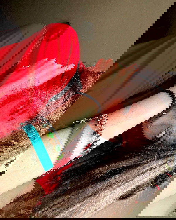 _animechika_ _animechika_ archive image