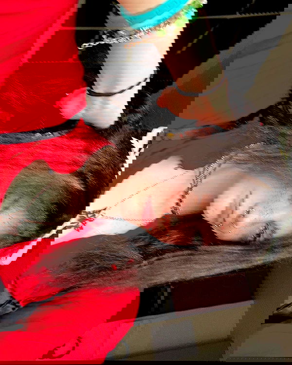 _animechika_ _animechika_ archive image