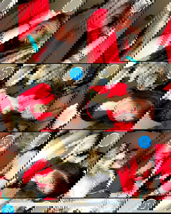 _animechika_ _animechika_ archive image