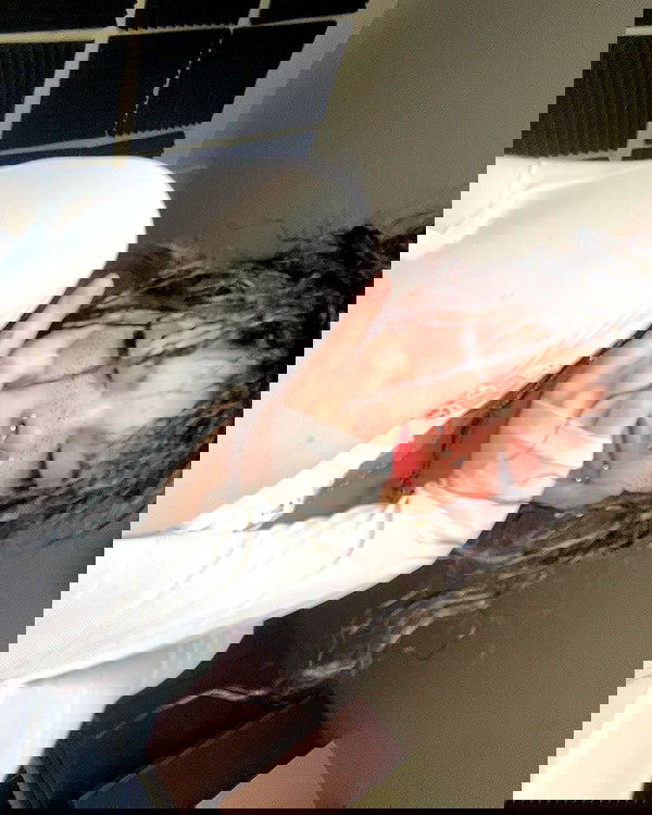 _animechika_ _animechika_ archive image