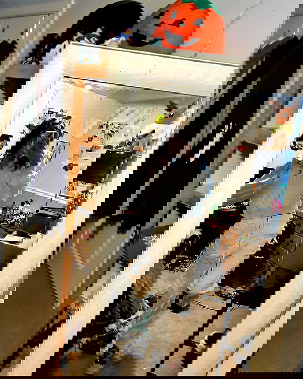 _animechika_ _animechika_ archive image