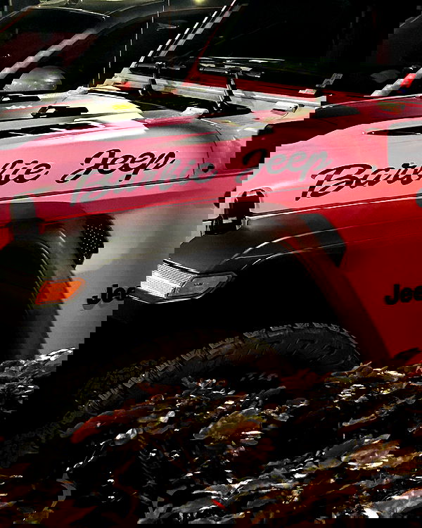 _animechika_ _animechika_ archive image