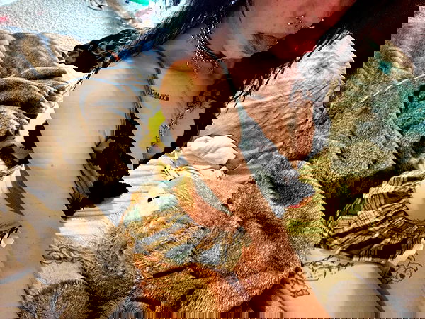 _animechika_ _animechika_ archive image