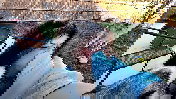 _animechika_ _animechika_ archive image