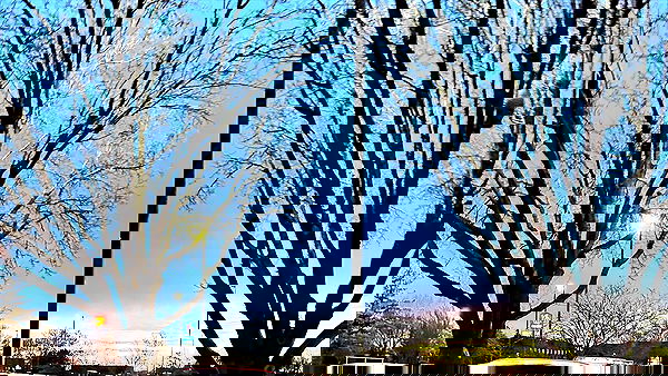 _animechika_ _animechika_ archive image