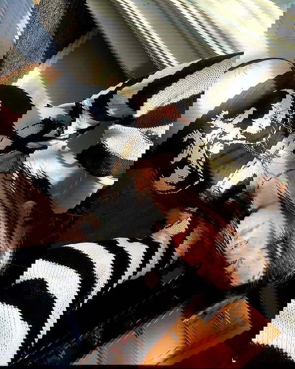 _animechika_ _animechika_ archive image