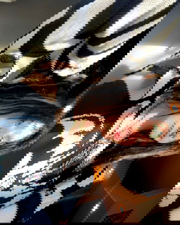 _animechika_ _animechika_ archive image