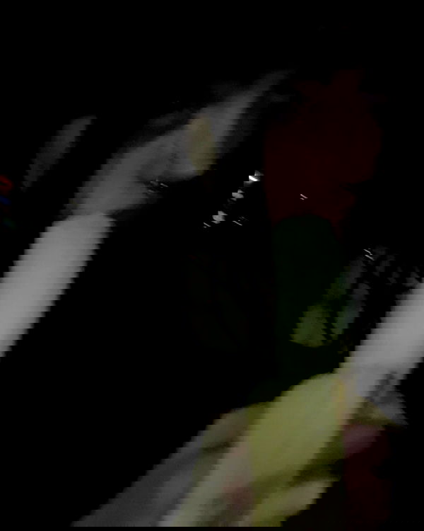 _animechika_ _animechika_ archive image