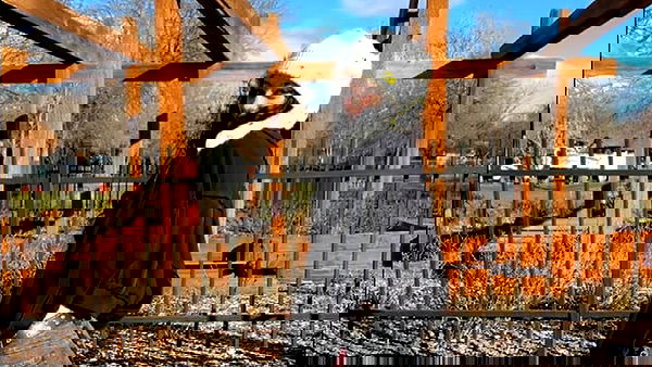 _animechika_ _animechika_ archive image