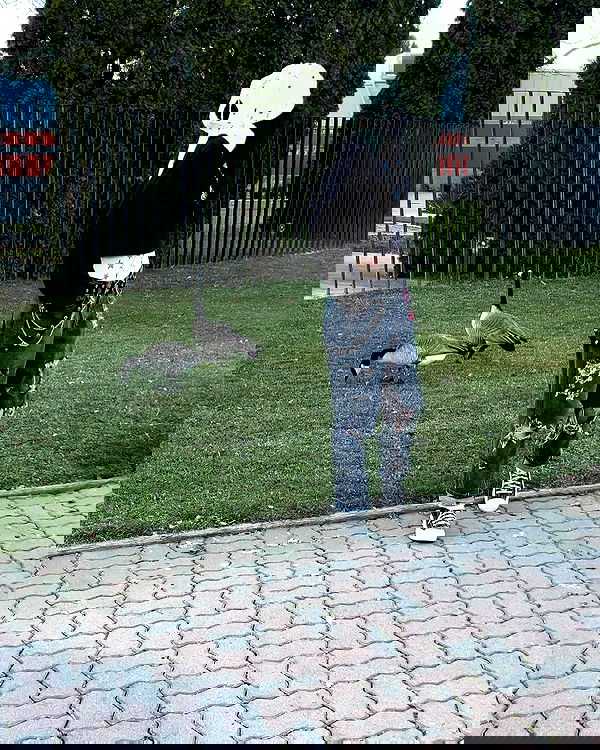 _animechika_ _animechika_ archive image