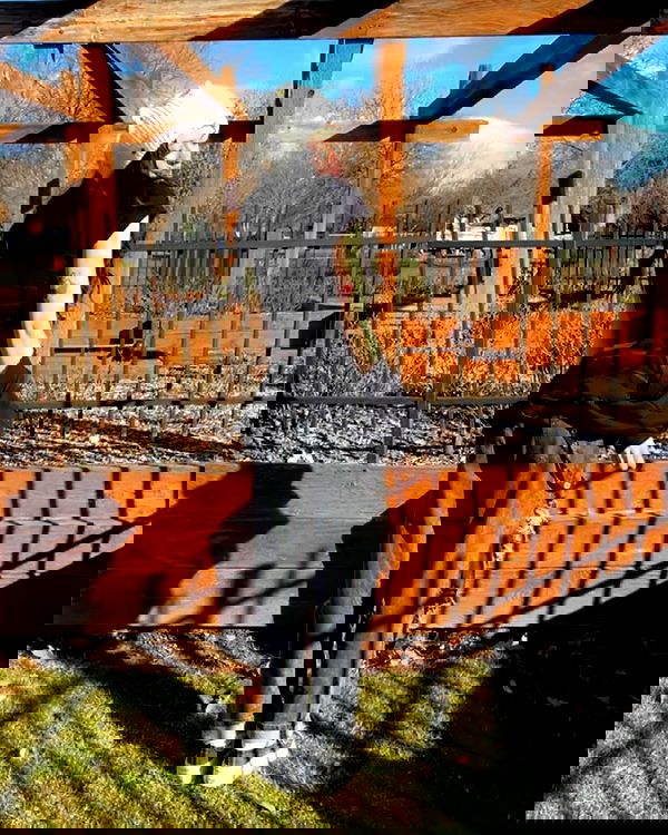 _animechika_ _animechika_ archive image