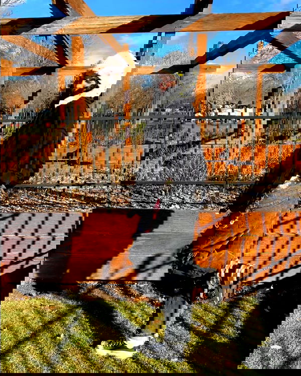 _animechika_ _animechika_ archive image